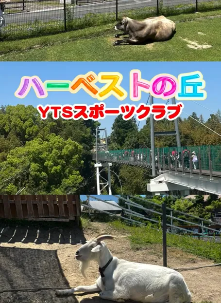 5月17日（日）ハーベストの丘
